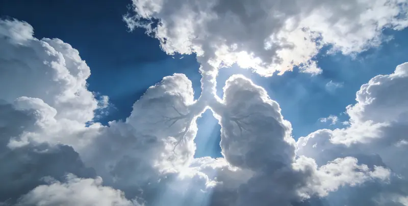 秦皇岛肺癌8基因突变检测（组织）图片1